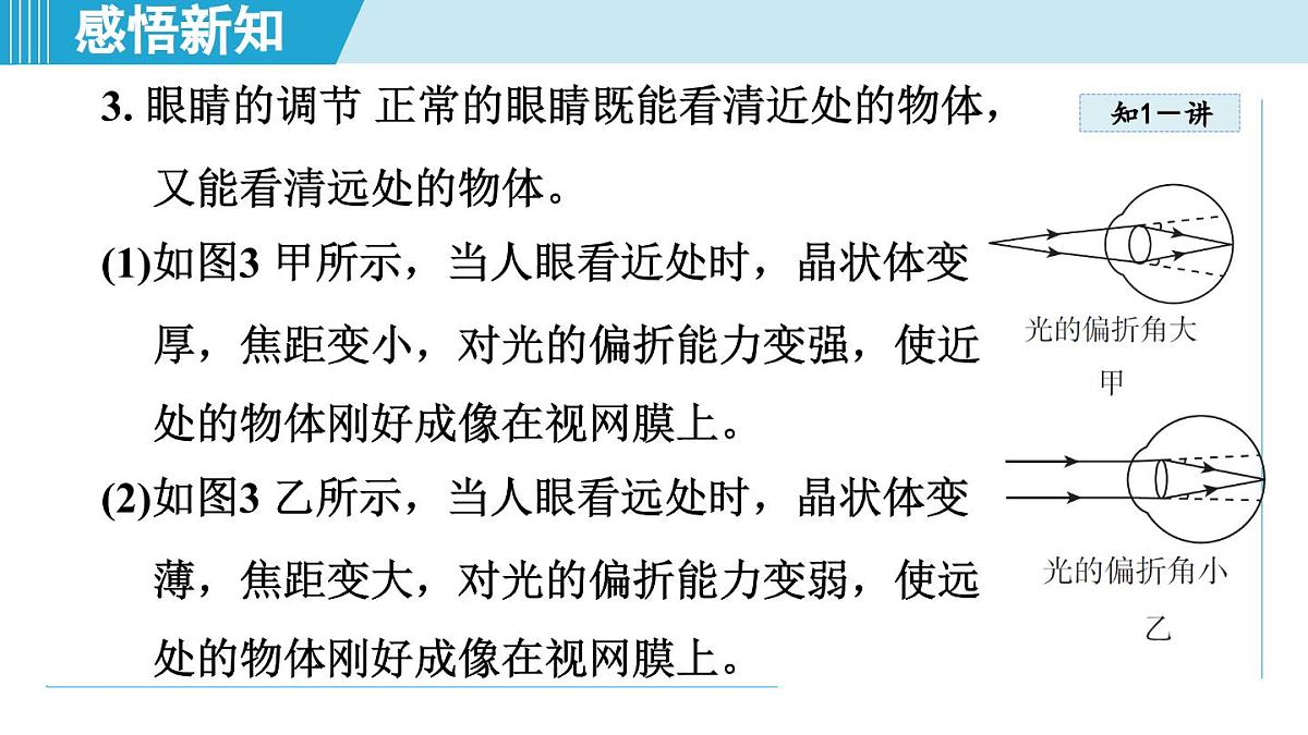 教科版八年级物理上册  4.6跨学科实践：眼睛（第4章 光的世界  学习、上课课件）第4页