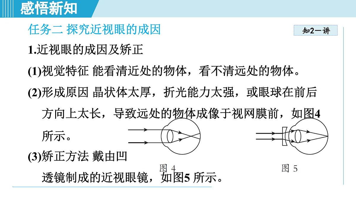 教科版八年级物理上册  4.6跨学科实践：眼睛（第4章 光的世界  学习、上课课件）第7页