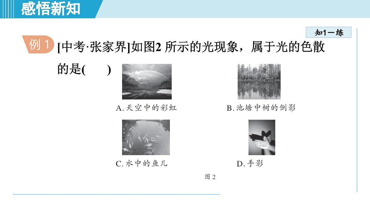 教科版八年级物理上册  4.8走进彩色世界（第4章 光的世界  学习、上课课件）第6页