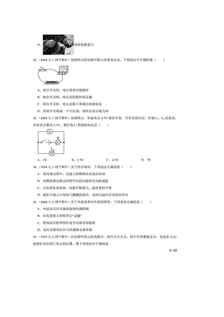 2024～2025学年广西壮族自治区贺州市昭平县九年级上期中物理试卷第3页