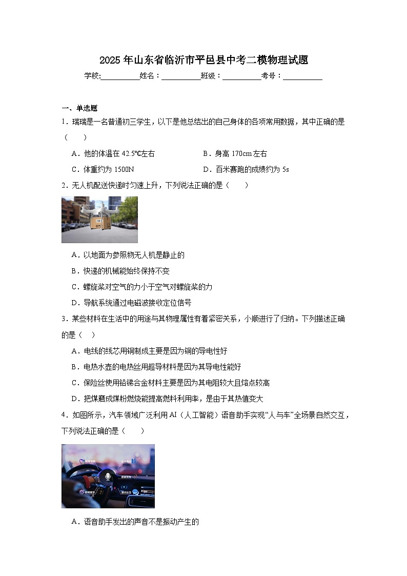 2025年山东省临沂市平邑县中考二模物理试题（附答案解析）第1页