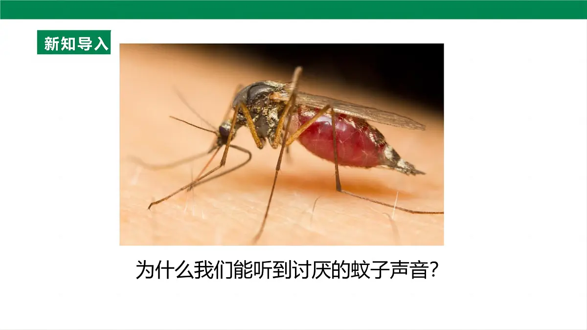 （2024人教版）八年级物理上册2.2 声音的特性 第8页