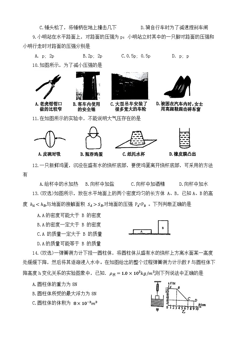 河南省南阳市新野县+2023－2024学年八年级下学期期中物理试题第2页