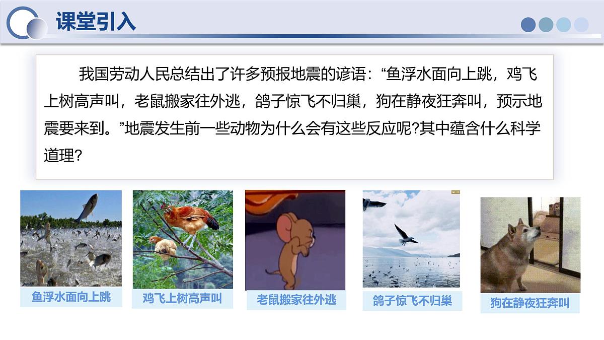 人教版物理八年级上册 第3节 声的利用 同步课件第5页