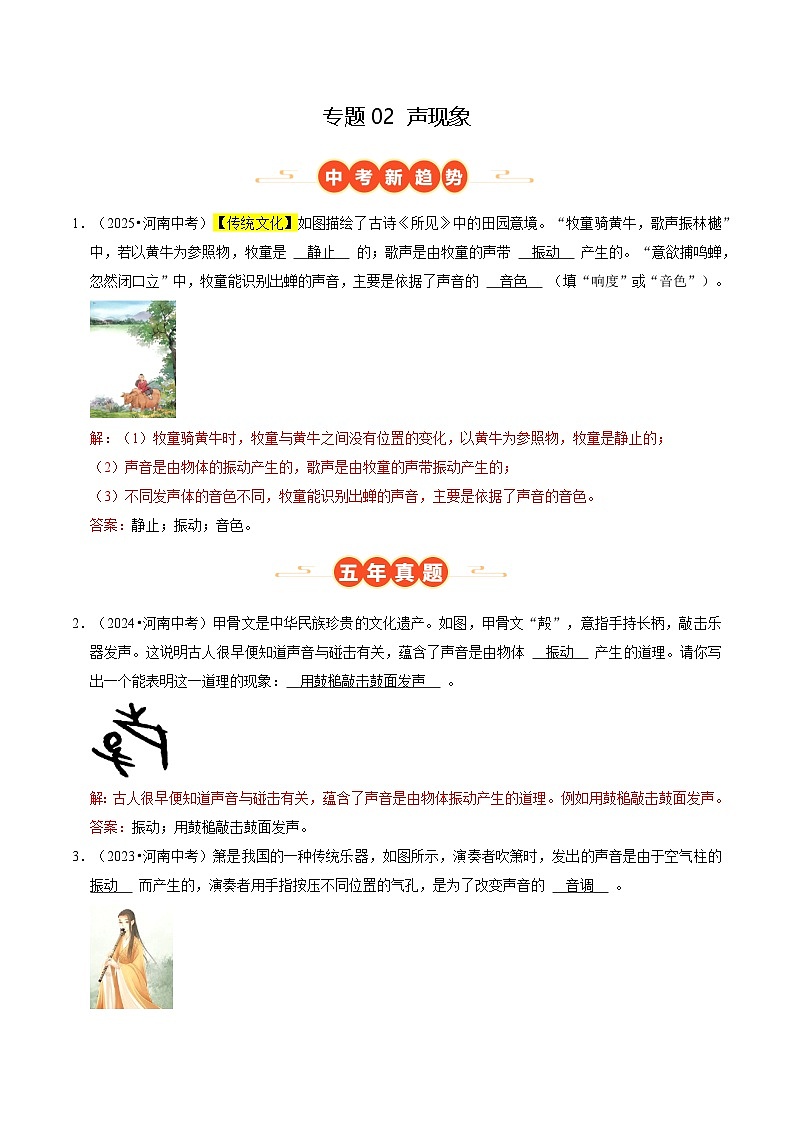 专题02 声现象（河南专用）（解析版）第1页