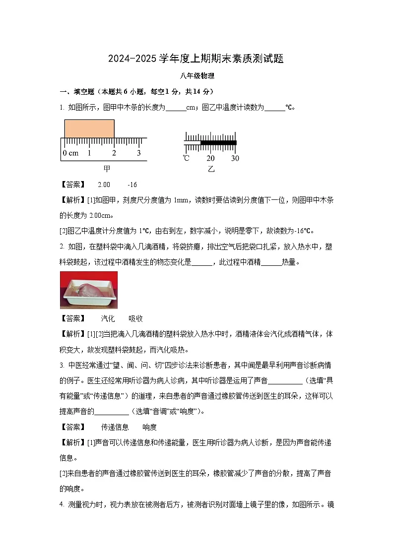 河南省驻马店市泌阳县2024-2025学年八年级上学期期末物理试卷（解析版）第1页