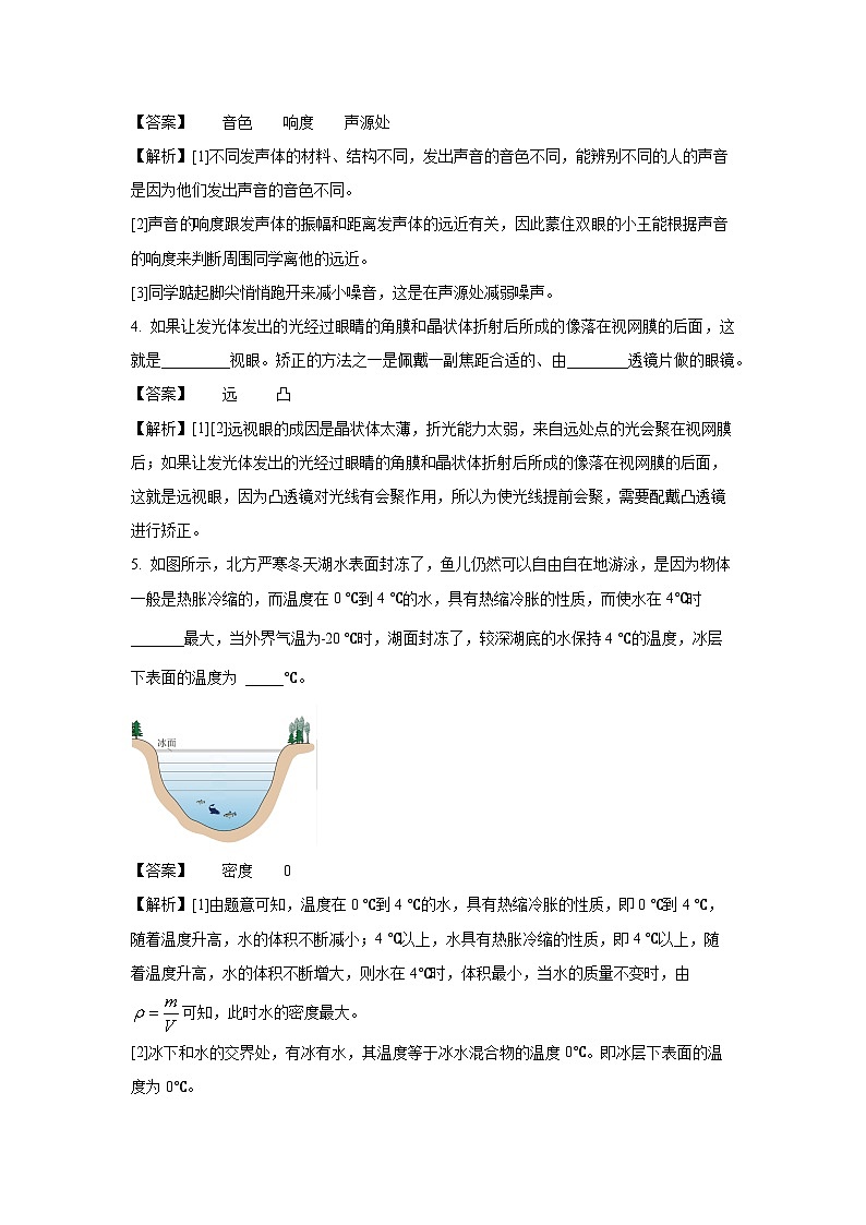河南省商丘市夏邑县联考2024-2025学年八年级上学期期末物理试卷（解析版）第2页