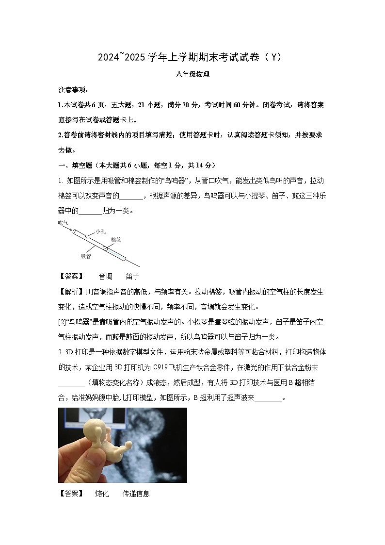 河南省漯河市舞阳县2024-2025学年八年级上学期期末考试物理试卷（解析版）第1页