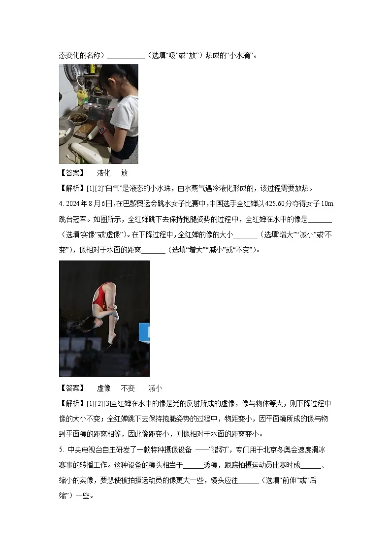 河南省驻马店市正阳县2024-2025学年八年级上学期期末考试物理试卷（解析版）第2页