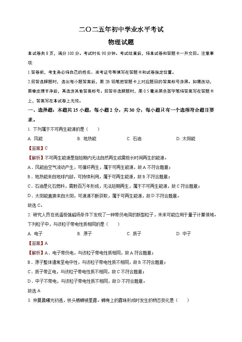 2025年山东省中考物理真题（解析版）第1页