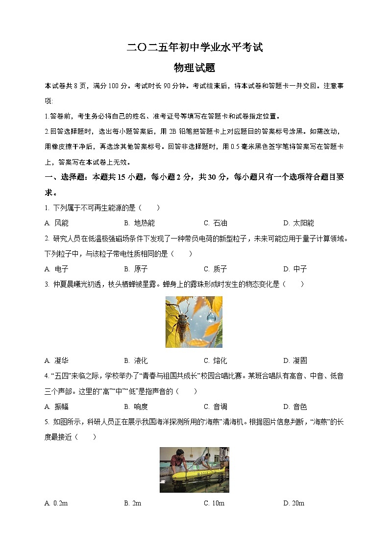 2025年山东省中考物理真题（原卷版）第1页