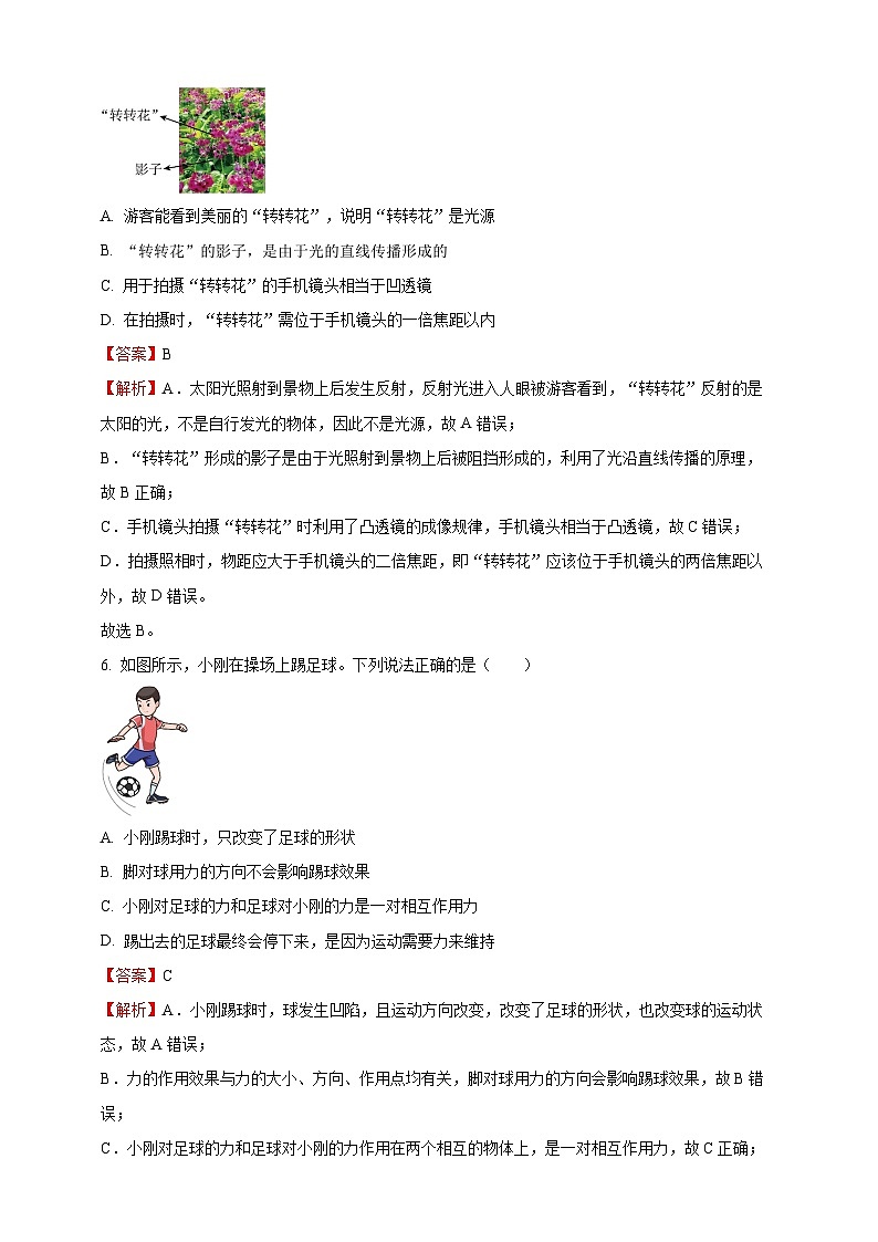 2025年四川省乐山市中考物理真题（解析版）第3页