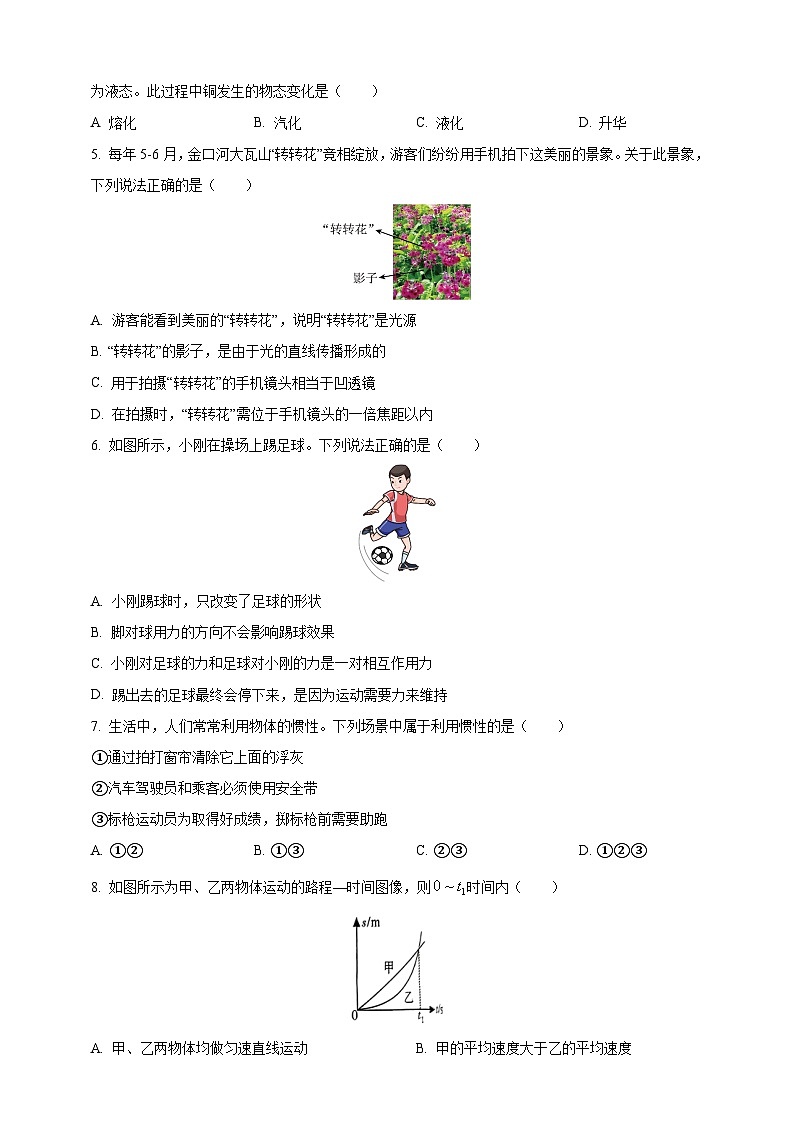 2025年四川省乐山市中考物理真题（原卷版）第2页