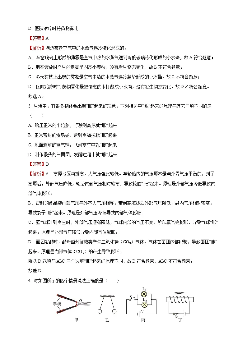2025年四川省南充市中考物理真题（解析版）第2页