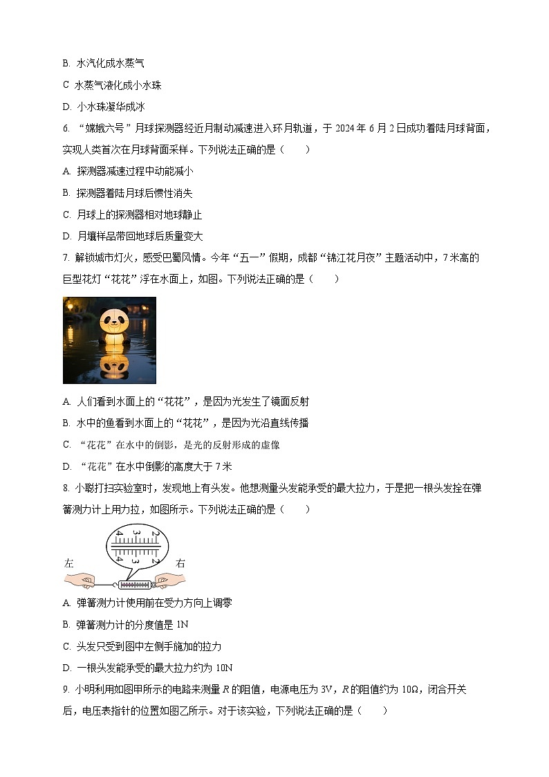 2025年四川省成都市中考物理真题（原卷版）第2页