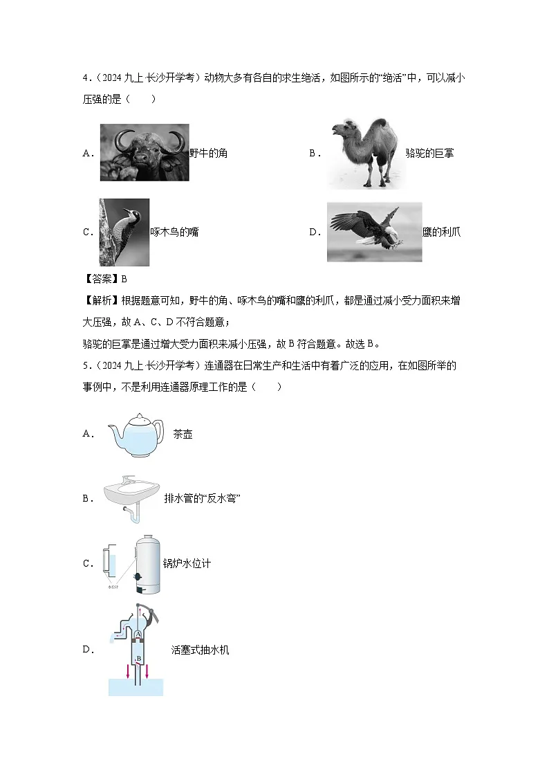 湖南省长沙市2024-2025学年九年级上学期开学考试物理试题（解析版）第3页