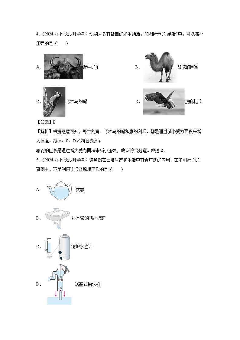 湖南省长沙市2024-2025学年九年级上学期开学考试物理试题（解析版）第3页
