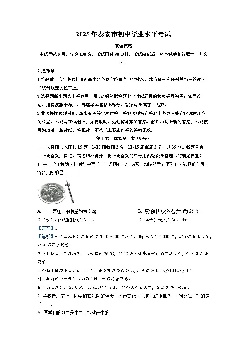 2025年山东省泰安市初中学业水平考试(解析版)物理试卷第1页