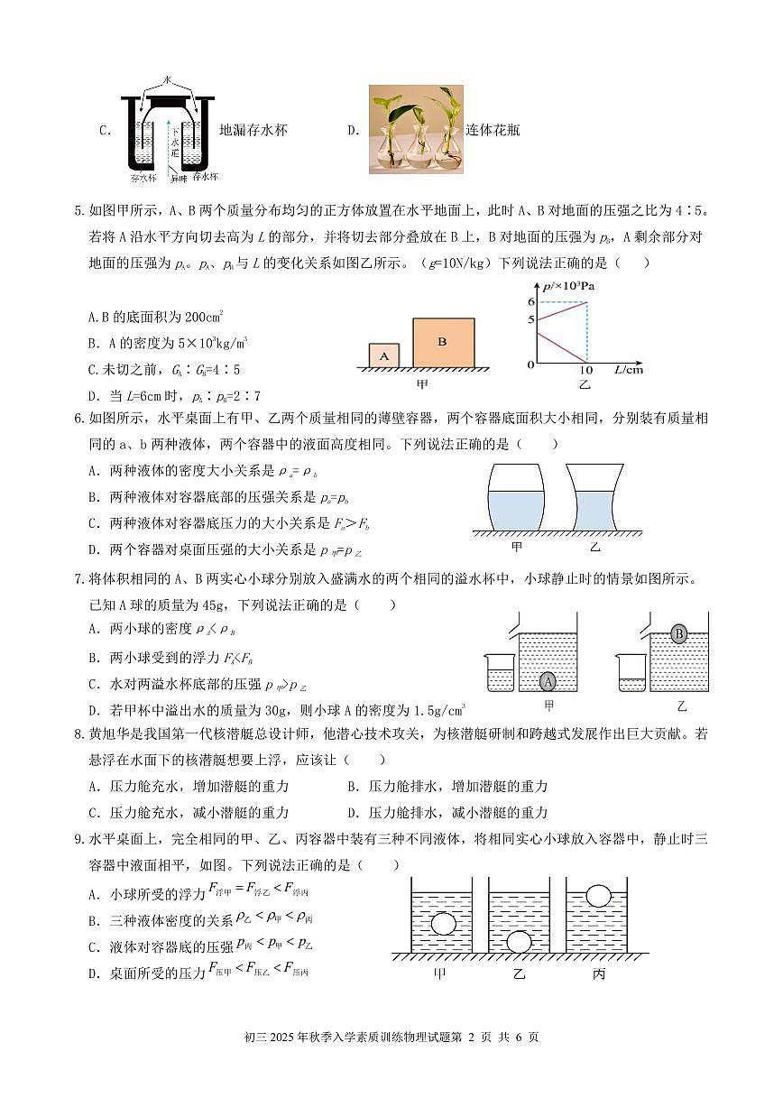 2025年秋季达一中九年级入学素质训练物理试题第2页