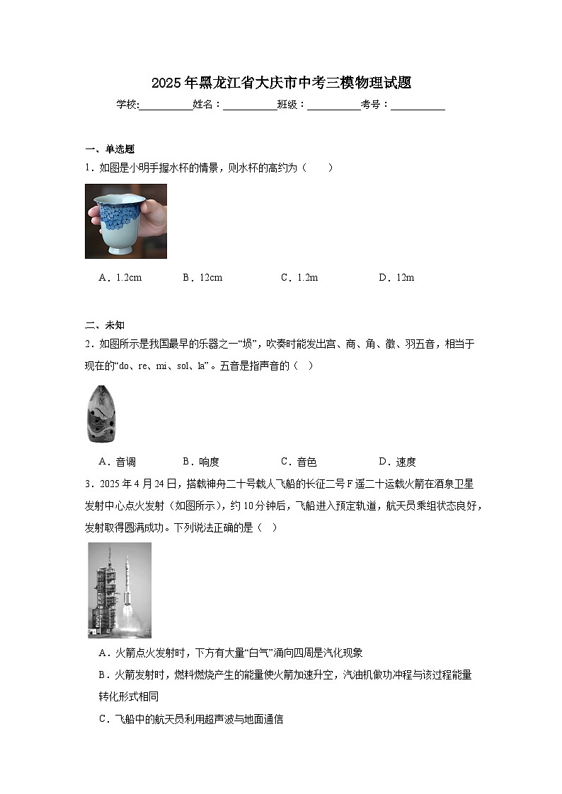2025年黑龙江省大庆市中考三模物理试题（无答案）第1页
