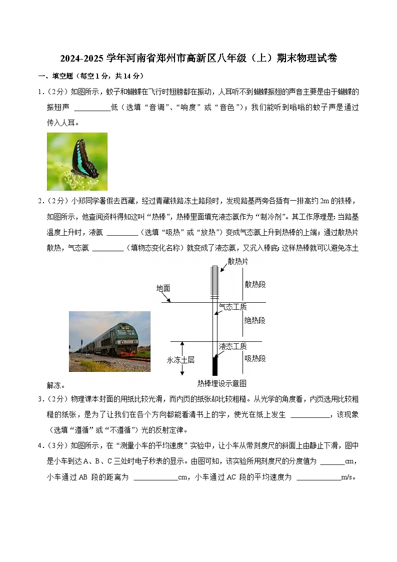 河南省郑州市高新区2024-2025学年八年级上学期期末物理试卷第1页