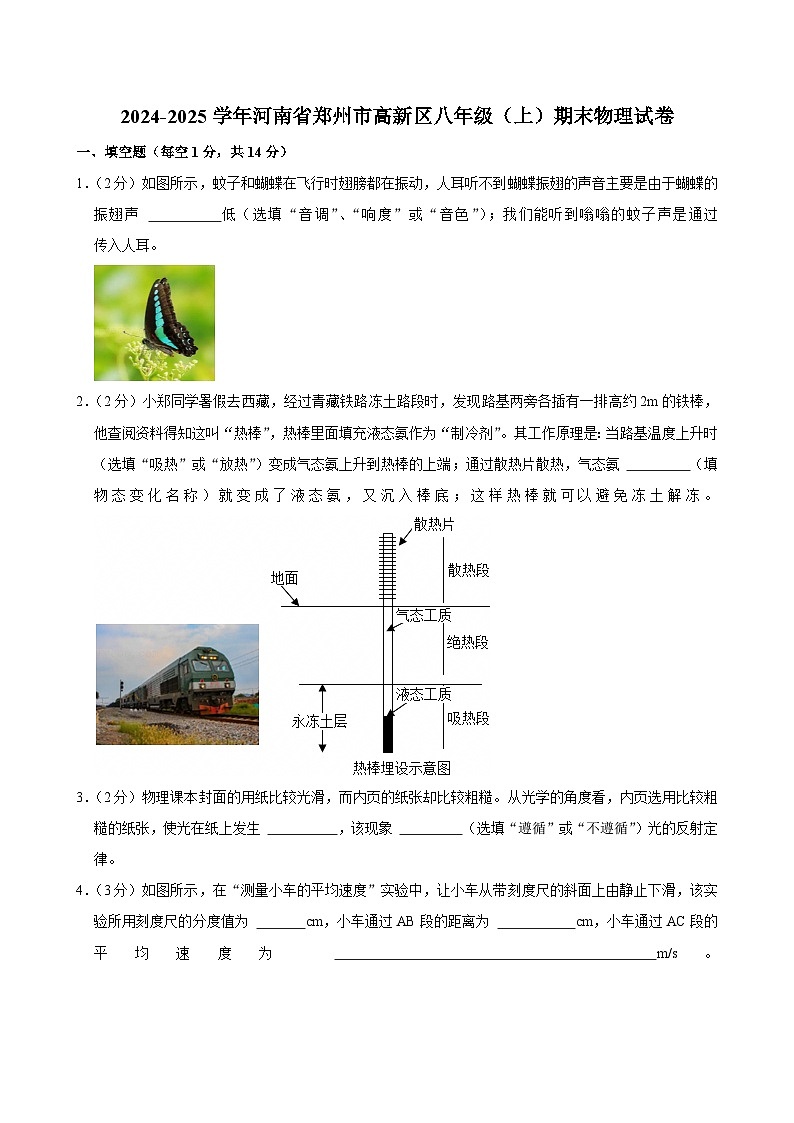 2024-2025学年河南省郑州市高新区八年级（上）期末物理试卷第1页