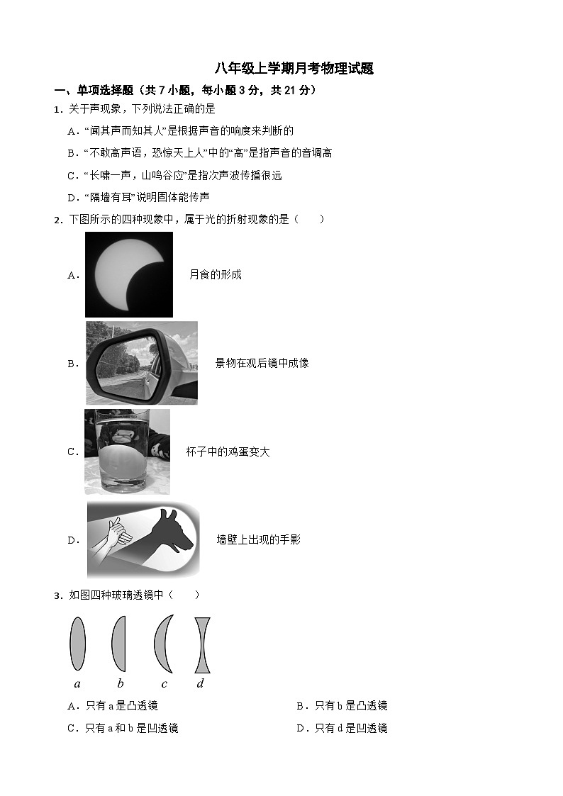 广东省茂名市2025年八年级上学期月考物理试卷附答案第1页