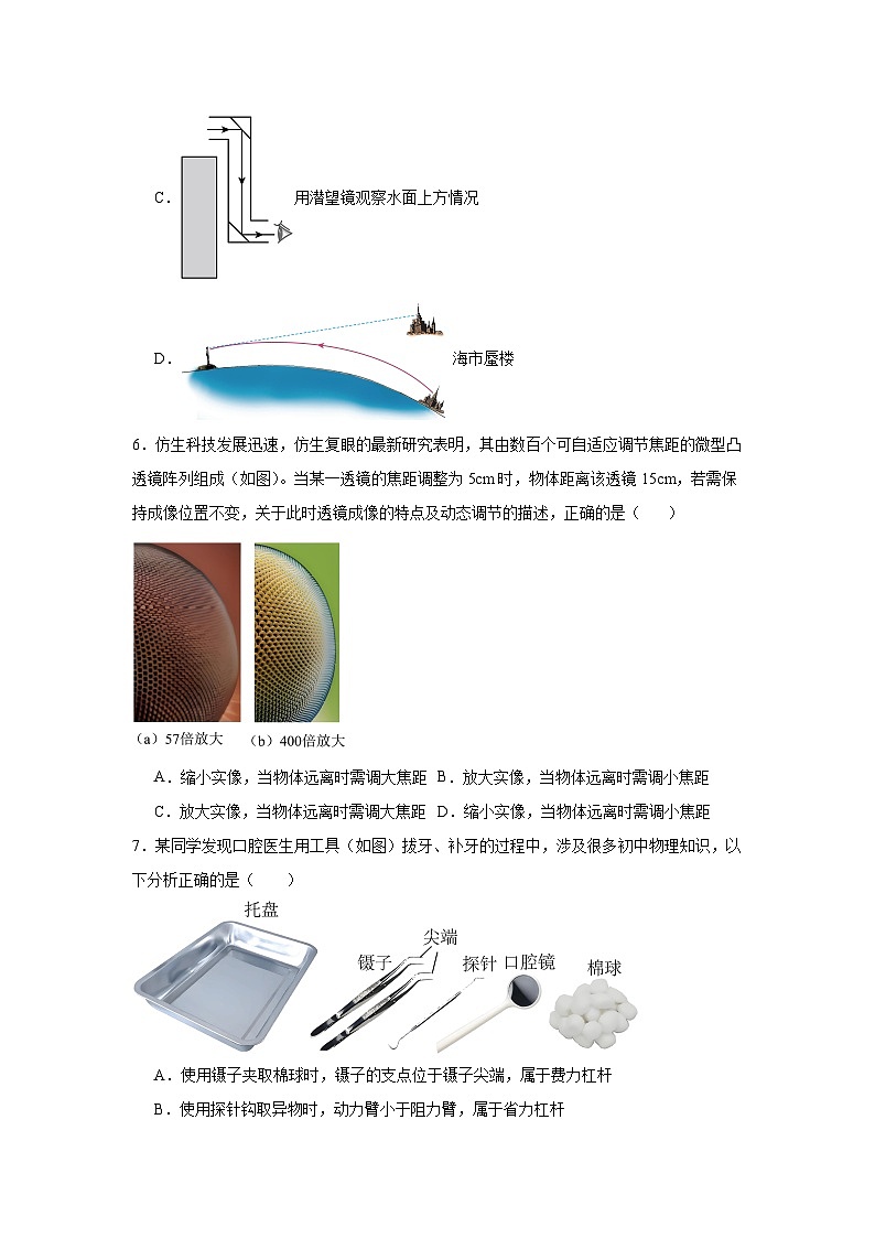 2025年山东省聊城市东昌府区中考物理二模试卷（附答案解析）第3页