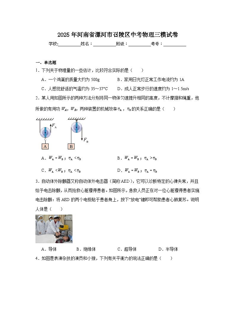 2025年河南省漯河市召陵区中考物理三模试卷（附答案解析）第1页