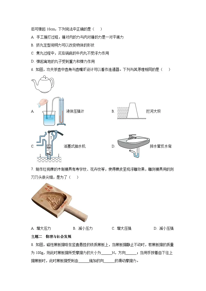 广东省深圳市龙岗区2024-2025学年八年级下学期学科素养期中诊断物理试卷（学生版）第2页