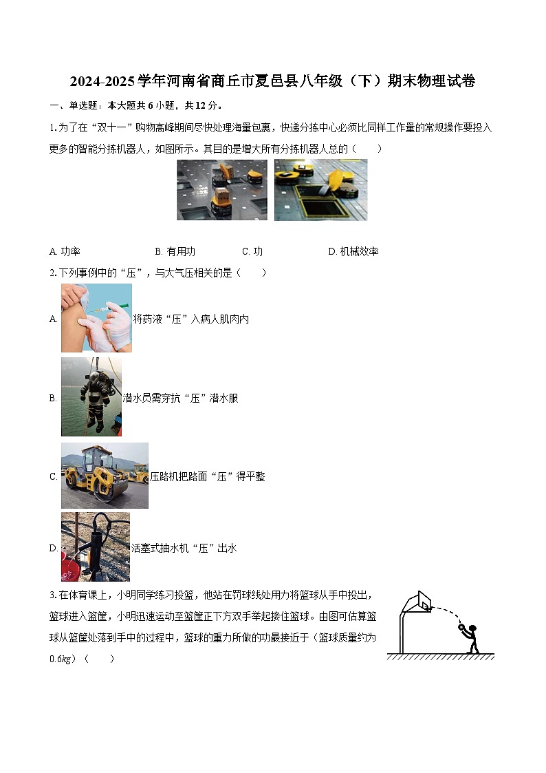 2024-2025学年河南省商丘市夏邑县八年级（下）期末物理试卷-自定义类型第1页