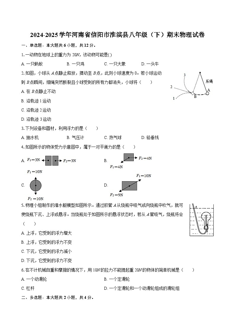 2024-2025学年河南省信阳市淮滨县八年级（下）期末物理试卷-自定义类型第1页