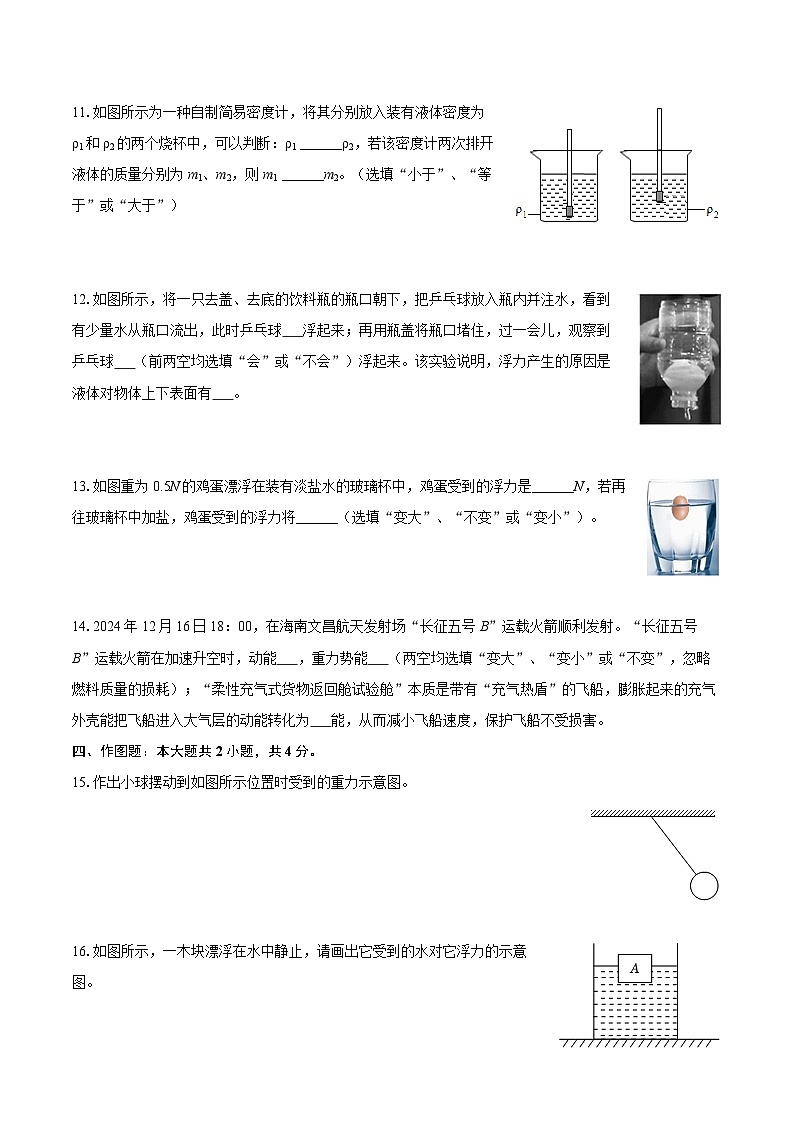 2024-2025学年河南省信阳市淮滨县八年级（下）期末物理试卷-自定义类型第3页