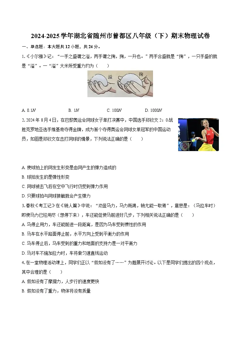 2024-2025学年湖北省随州市曾都区八年级（下）期末物理试卷-自定义类型第1页
