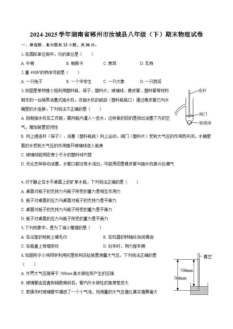 2024-2025学年湖南省郴州市汝城县八年级（下）期末物理试卷-自定义类型第1页