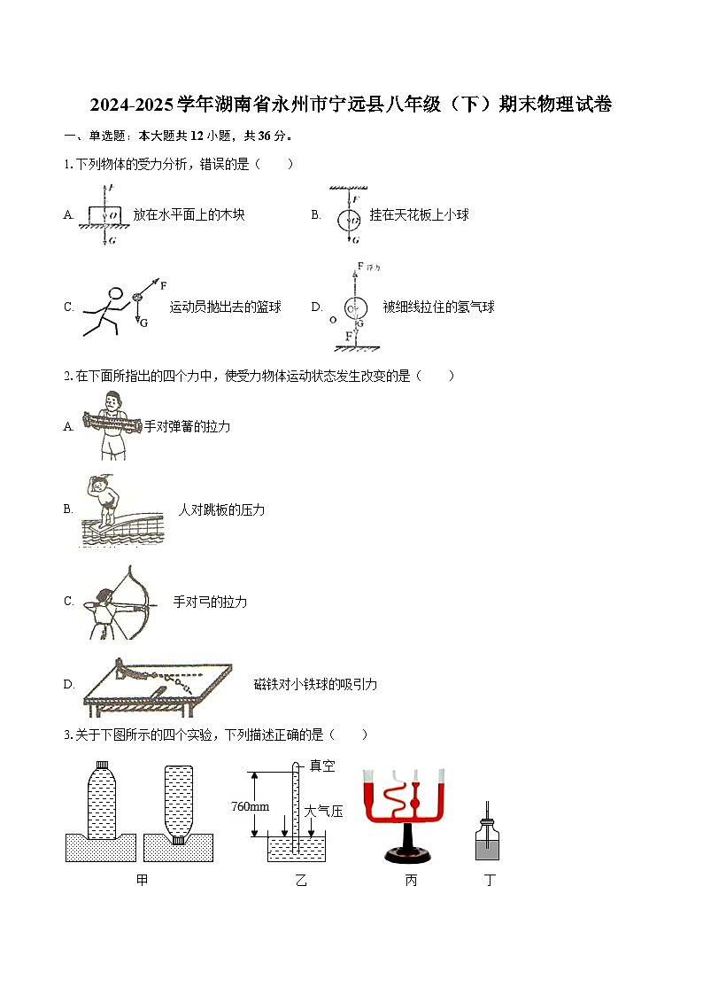2024-2025学年湖南省永州市宁远县八年级（下）期末物理试卷-自定义类型第1页