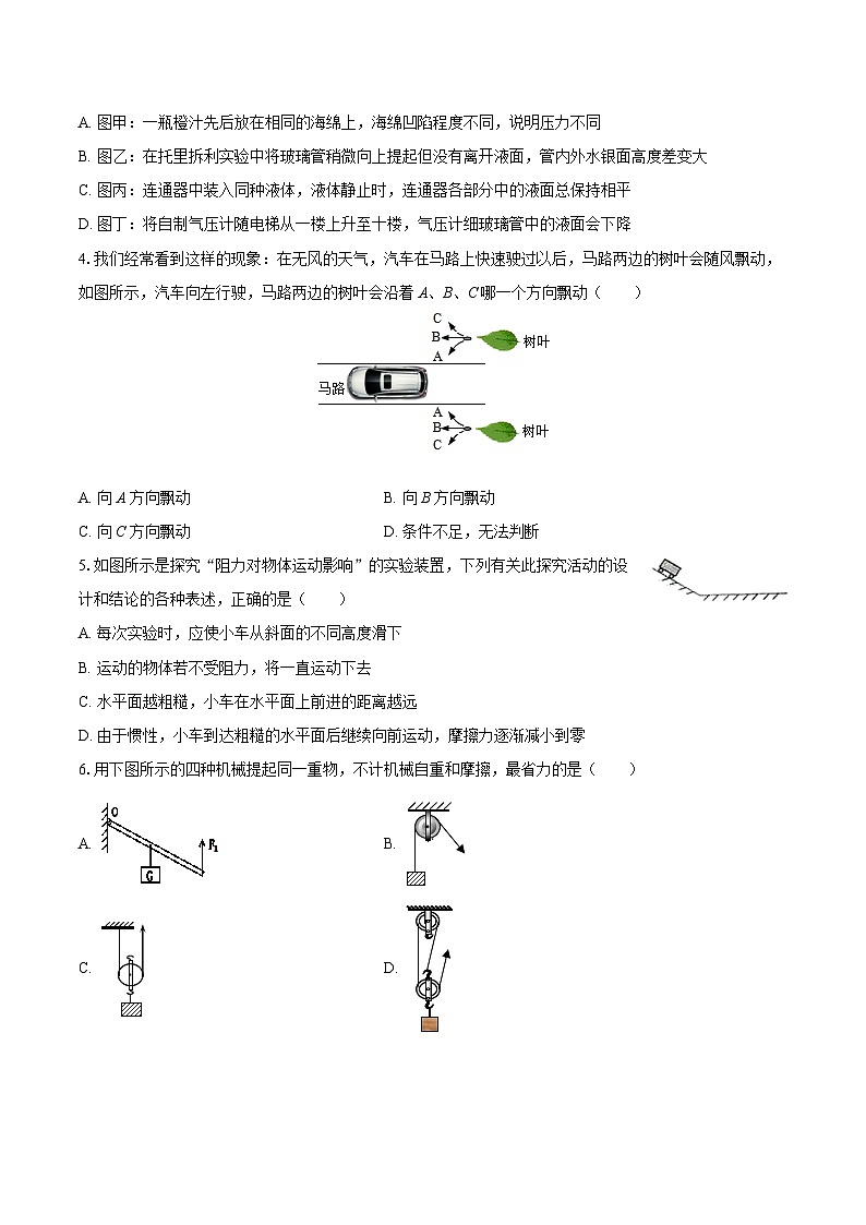 2024-2025学年湖南省永州市宁远县八年级（下）期末物理试卷-自定义类型第2页