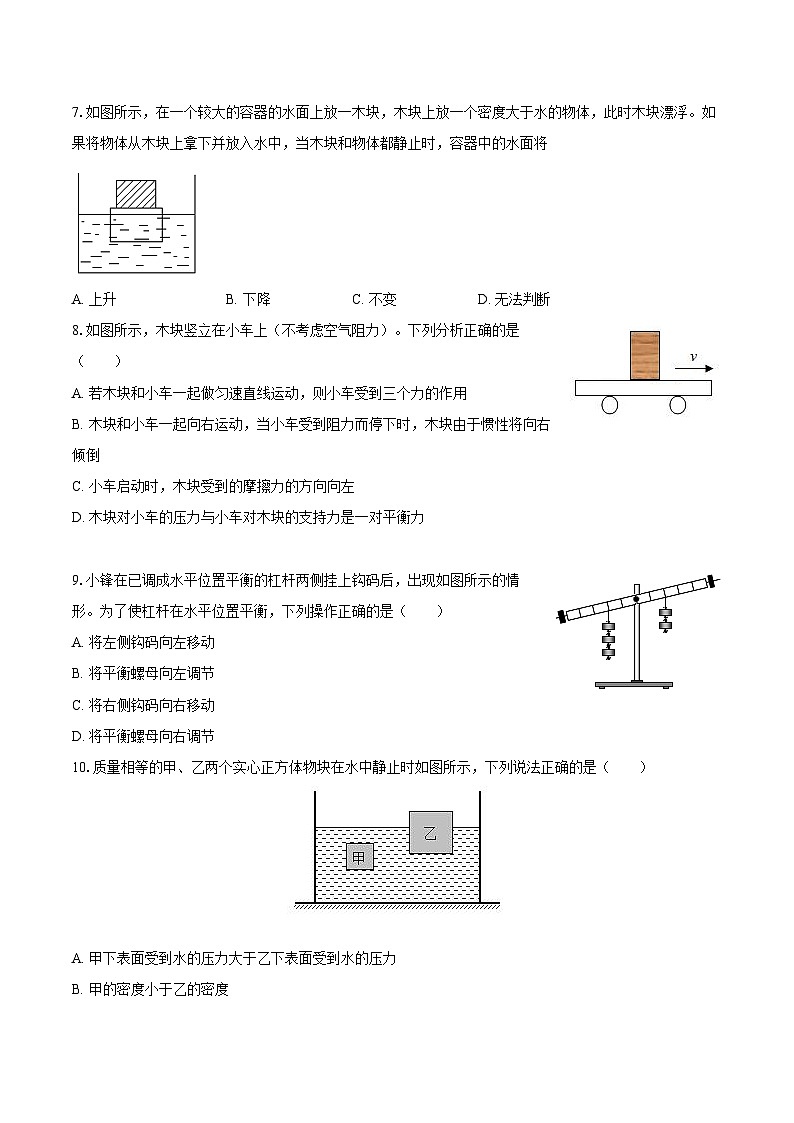 2024-2025学年湖南省永州市宁远县八年级（下）期末物理试卷-自定义类型第3页