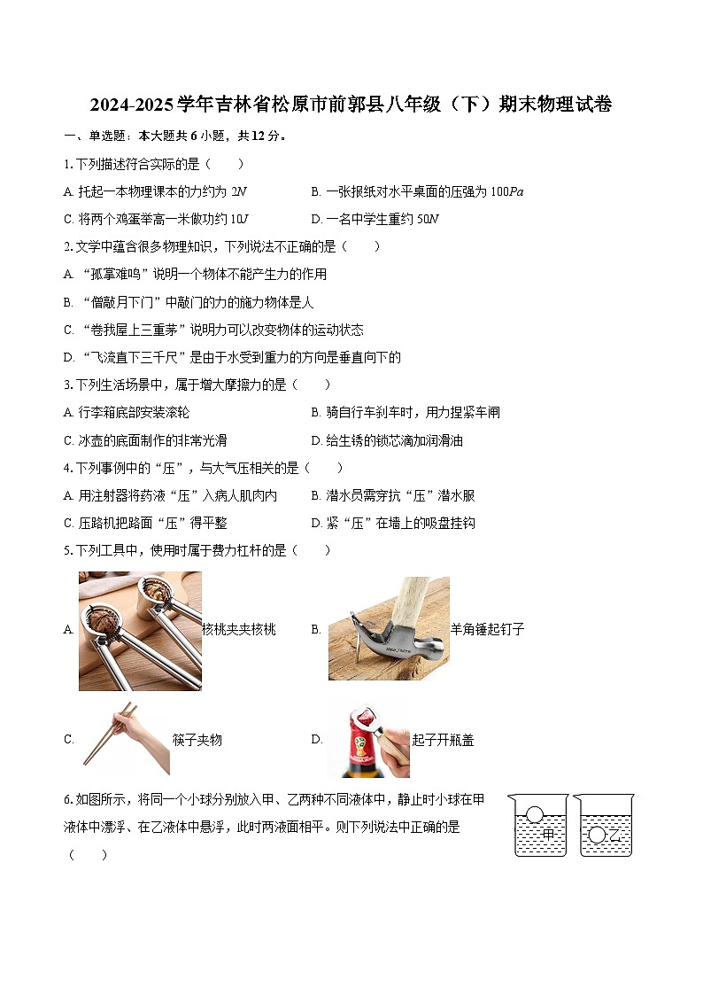 2024-2025学年吉林省松原市前郭县八年级（下）期末物理试卷-自定义类型第1页