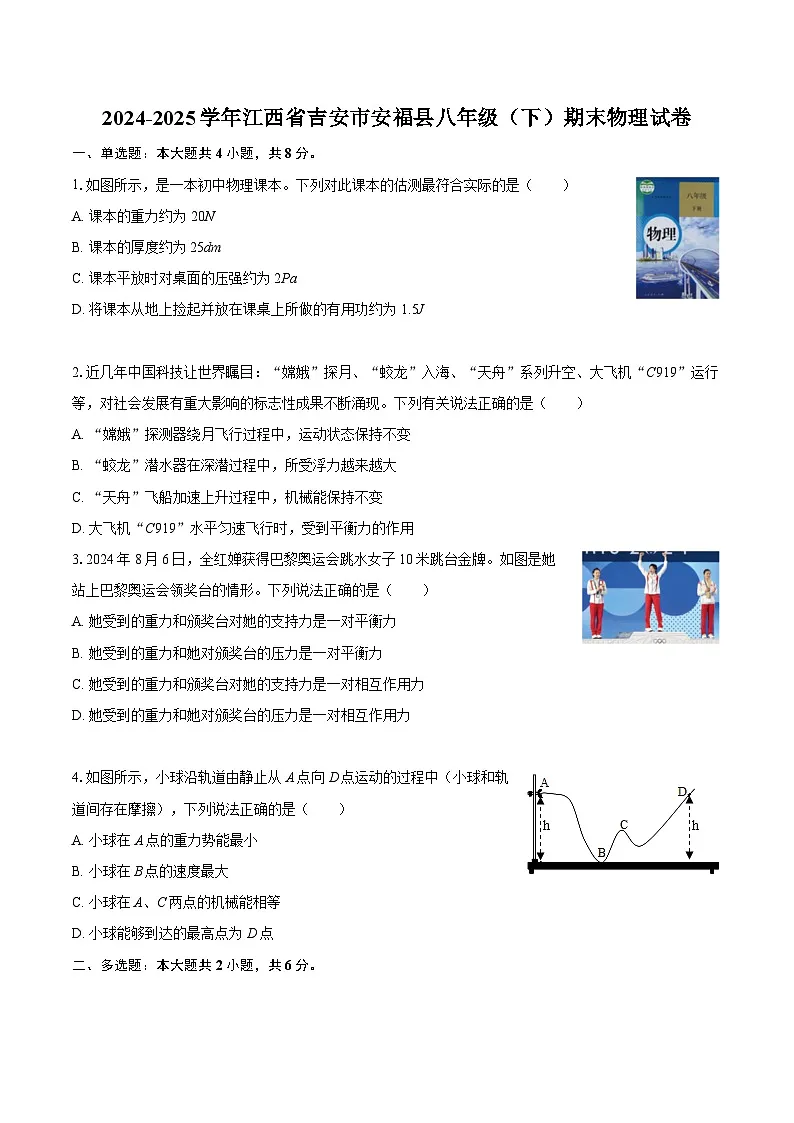 2024-2025学年江西省吉安市安福县八年级（下）期末物理试卷-自定义类型第1页