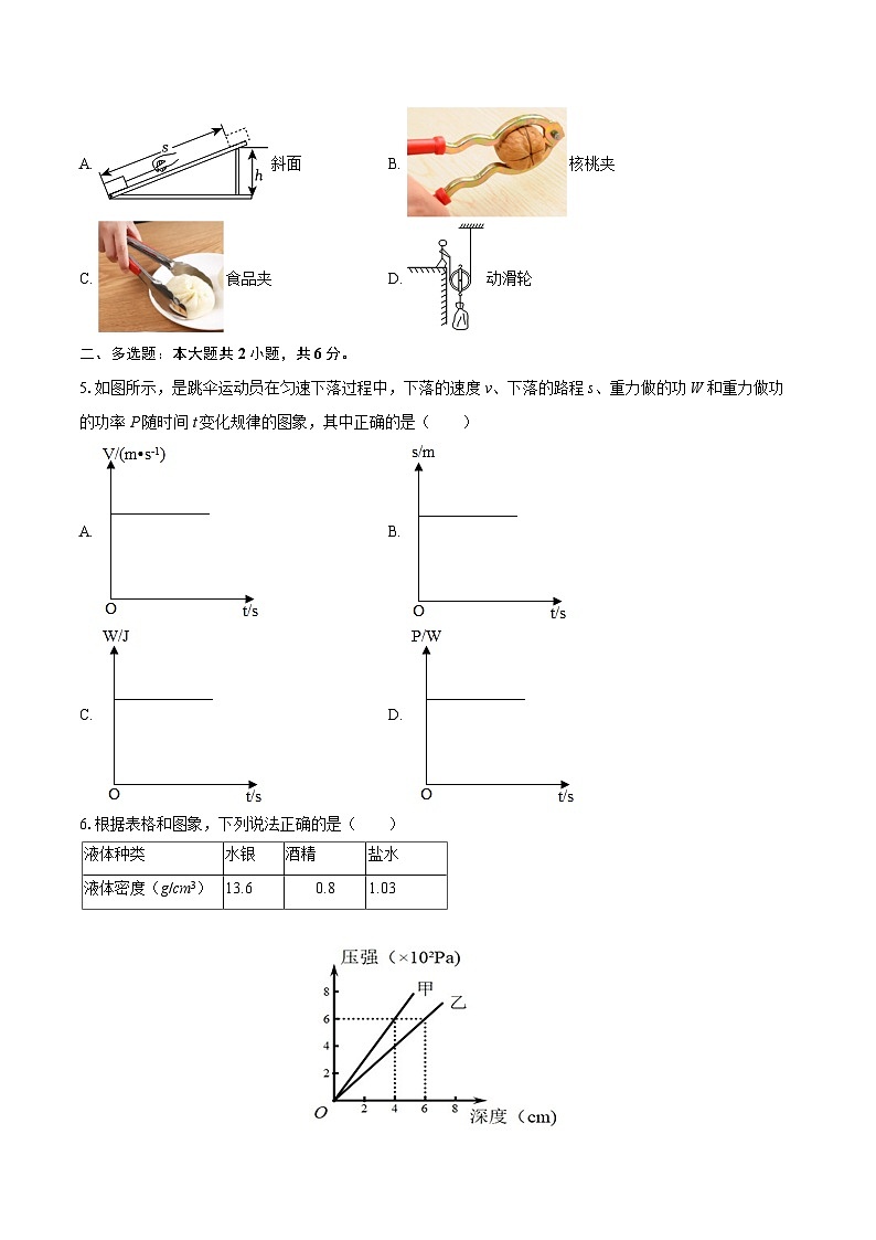 2024-2025学年江西省吉安市吉州区八年级（下）期末物理试卷-自定义类型第2页