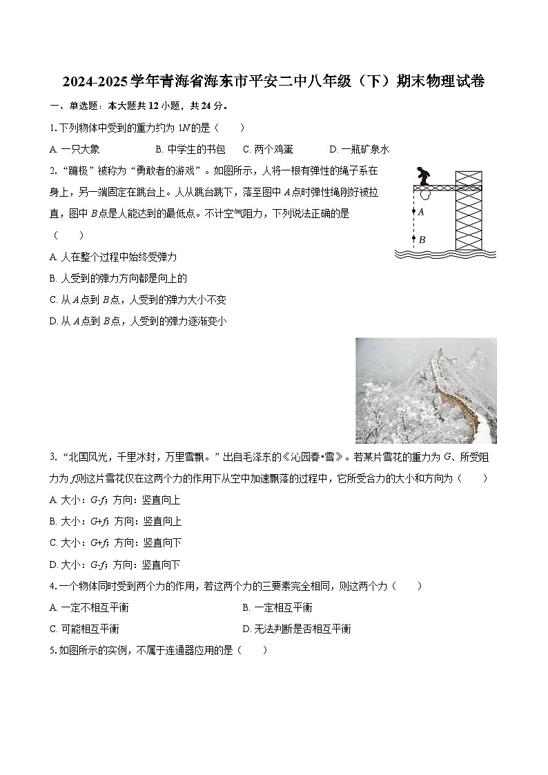 2024-2025学年青海省海东市平安二中八年级（下）期末物理试卷-自定义类型第1页