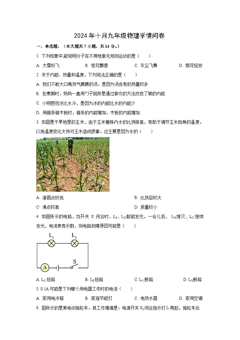 广东省深圳市2024-2025学年九年级上学期10月月考物理试卷（学生版）第1页