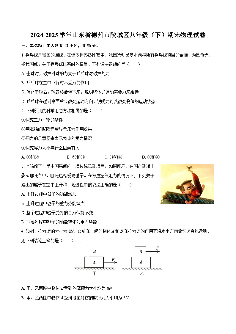2024-2025学年山东省德州市陵城区八年级（下）期末物理试卷-自定义类型第1页