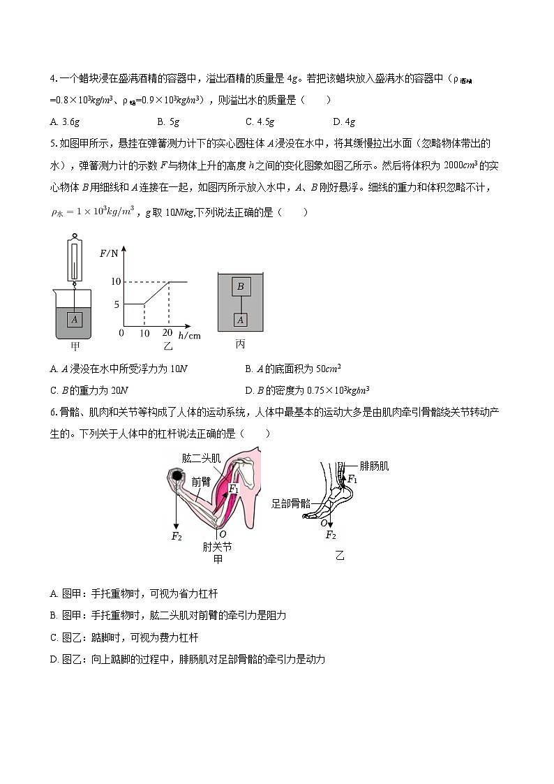 2024-2025学年山东省济宁市嘉祥二中八年级（下）期末物理模拟练习试卷-自定义类型 (1)第2页