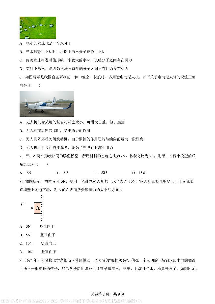 江苏省扬州市宝应县2023-2024学年八年级下学期期末物理试题(原卷版)A4第2页