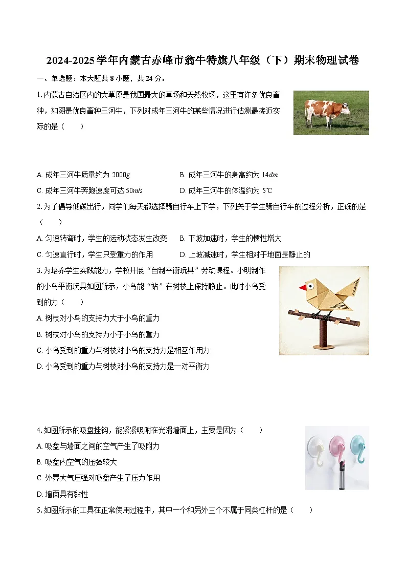 2024-2025学年内蒙古赤峰市翁牛特旗八年级（下）期末物理试卷-自定义类型第1页