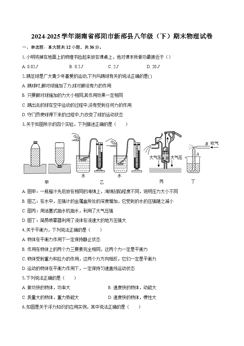 2024-2025学年湖南省邵阳市新邵县八年级（下）期末物理试卷-自定义类型第1页