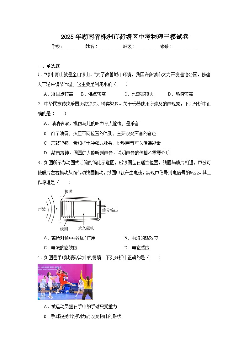 2025年湖南省株洲市荷塘区中考物理三模试卷（附答案解析）第1页