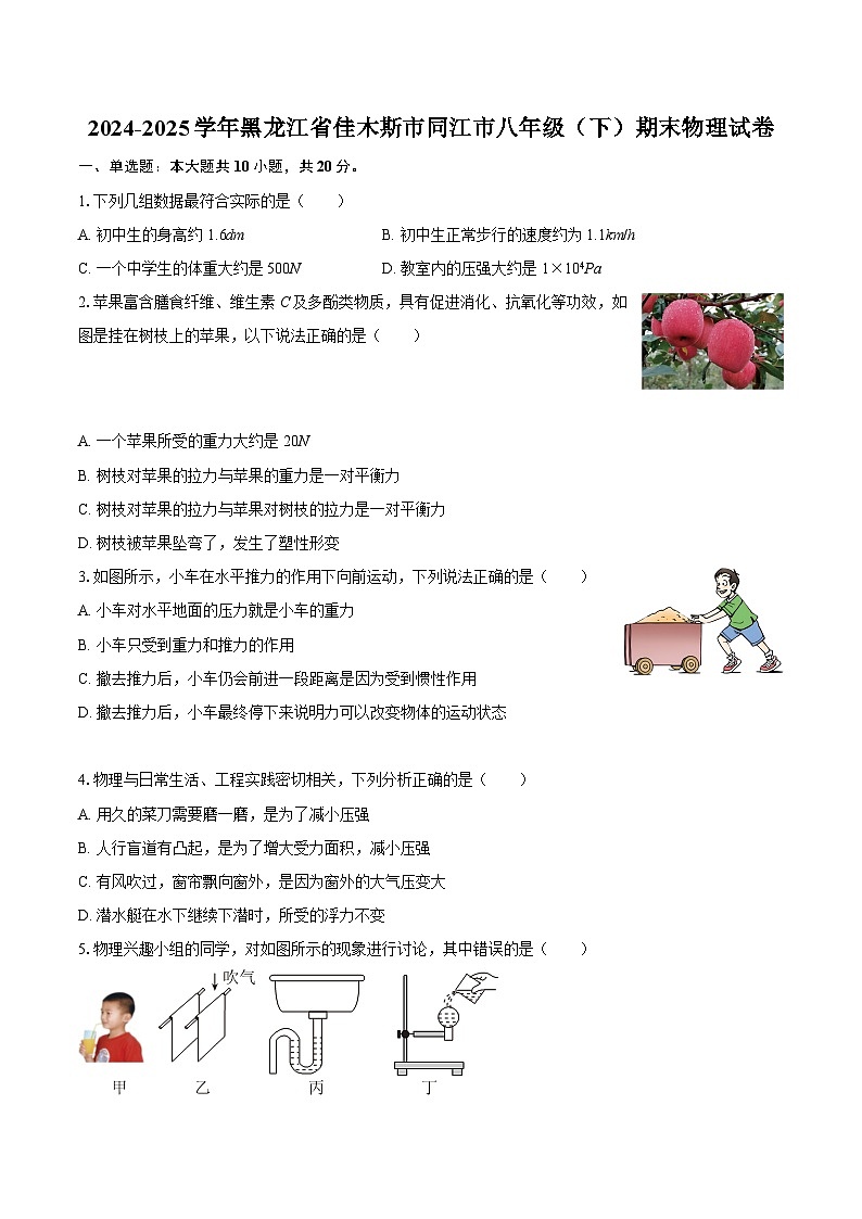 2024-2025学年黑龙江省佳木斯市同江市八年级（下）期末物理试卷-自定义类型第1页